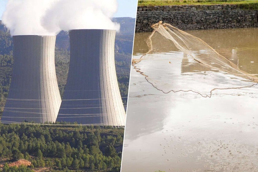 China está en su primavera nuclear y necesita uranio a toneladas. Su solución: un material que lo "pesca" en el mar